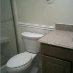 NEW AMERICAN STANDARD ELONGATED WITH WAINSCOTTING , CHAIR RAIL AND NEW VANITY